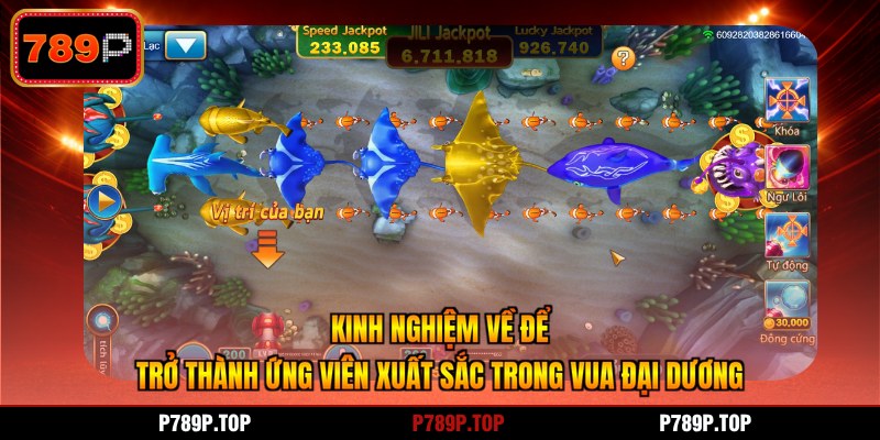 Kinh nghiệm về để trở thành ứng viên xuất sắc trong vua đại dương